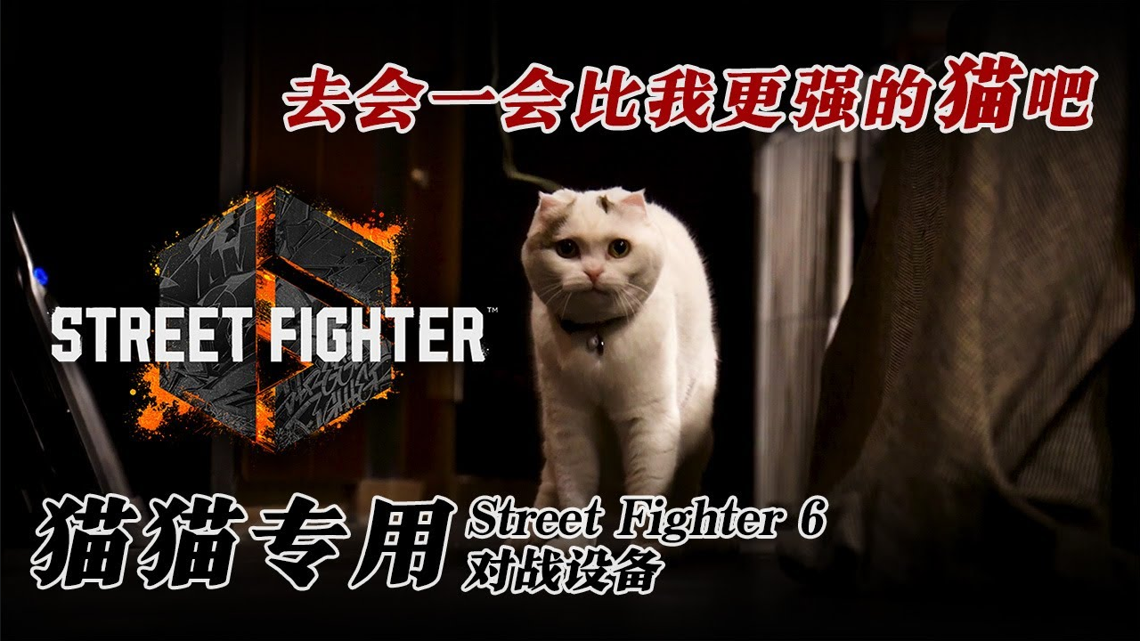 愚人节整活：卡普空推出猫猫专用《街霸6》对战设备