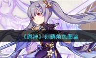 《原神》攻略——刻晴角色图鉴