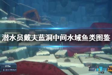 《潜水员戴夫》攻略——蓝洞中间水域鱼类图鉴