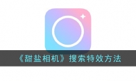 《甜盐相机》攻略——搜索特效方法