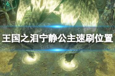 《塞尔达传说王国之泪》攻略——宁静公主速刷位置推荐