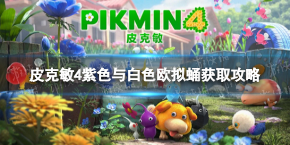 游侠网1